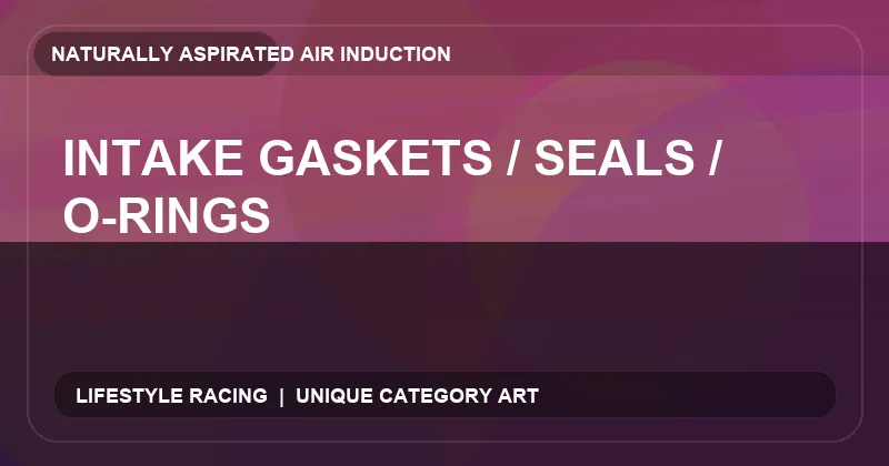 Intake Gaskets / Seals / O-Rings